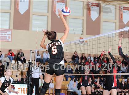 Thumbnail 2 in Webster vs. Luck photogallery.