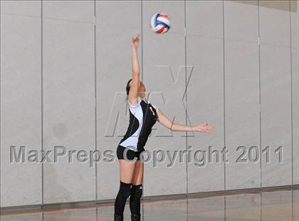 Thumbnail 1 in Webster vs. Luck photogallery.