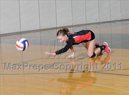 Thumbnail 3 in Webster vs. Luck photogallery.