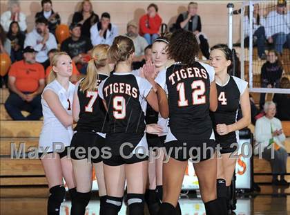 Thumbnail 1 in Webster vs. Luck photogallery.