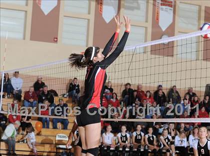 Thumbnail 3 in Webster vs. Luck photogallery.