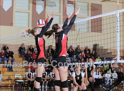 Thumbnail 3 in Webster vs. Luck photogallery.