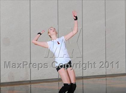 Thumbnail 3 in Webster vs. Luck photogallery.