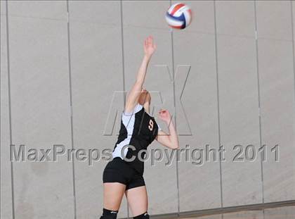 Thumbnail 3 in Webster vs. Luck photogallery.