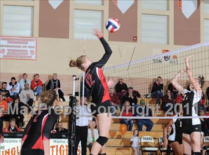 Thumbnail 3 in Webster vs. Luck photogallery.