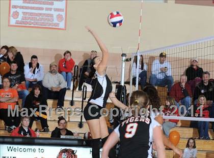 Thumbnail 2 in Webster vs. Luck photogallery.