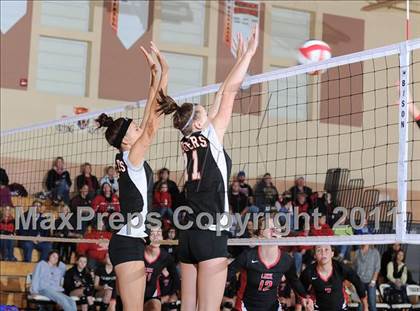 Thumbnail 3 in Webster vs. Luck photogallery.