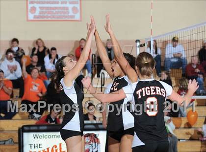 Thumbnail 2 in Webster vs. Luck photogallery.