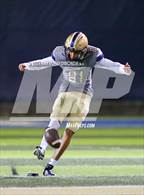 Photo from the gallery "Carrollwood Day @ University Christian"