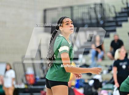 Thumbnail 3 in Ponderosa vs Bear Creek  photogallery.