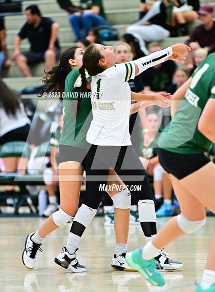 Thumbnail 3 in Ponderosa vs Bear Creek  photogallery.