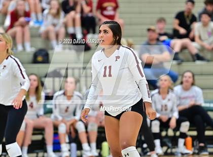 Thumbnail 2 in Ponderosa vs Bear Creek  photogallery.
