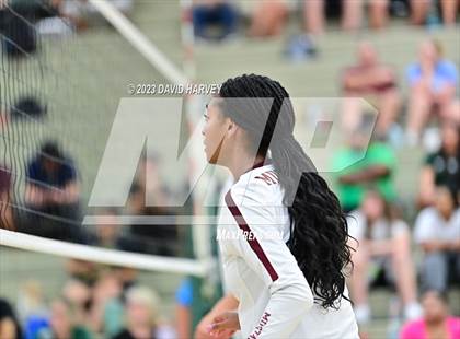 Thumbnail 3 in Ponderosa vs Bear Creek  photogallery.