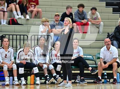 Thumbnail 1 in Ponderosa vs Bear Creek  photogallery.