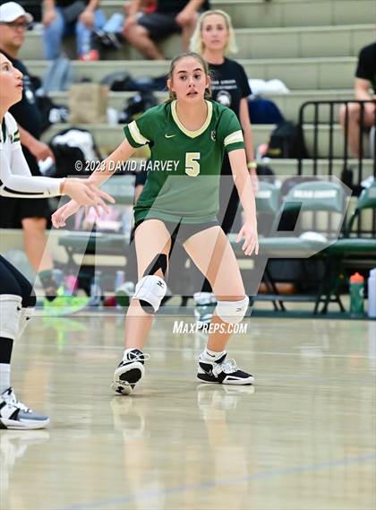 Thumbnail 2 in Ponderosa vs Bear Creek  photogallery.