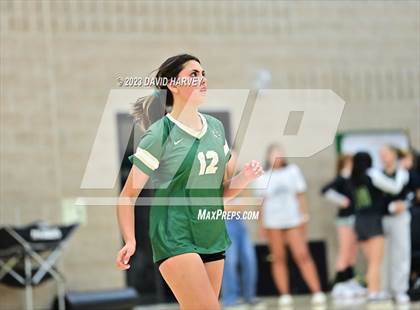 Thumbnail 2 in Ponderosa vs Bear Creek  photogallery.