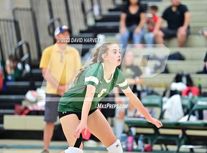 Thumbnail 1 in Ponderosa vs Bear Creek  photogallery.