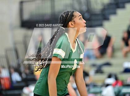 Thumbnail 3 in Ponderosa vs Bear Creek  photogallery.