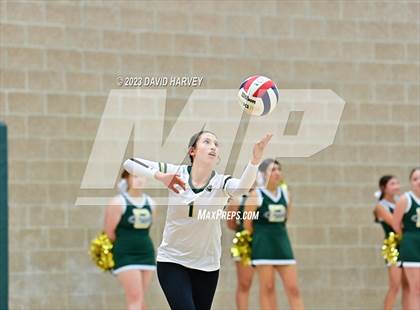 Thumbnail 3 in Ponderosa vs Bear Creek  photogallery.