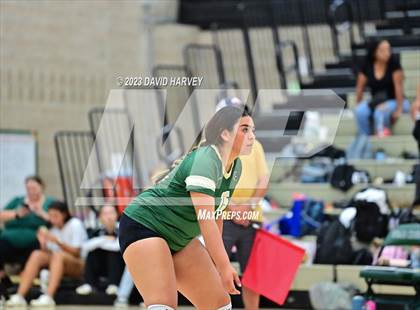 Thumbnail 1 in Ponderosa vs Bear Creek  photogallery.