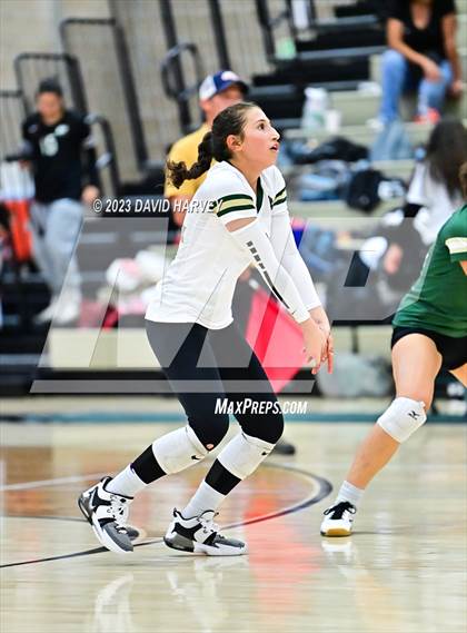 Thumbnail 1 in Ponderosa vs Bear Creek  photogallery.