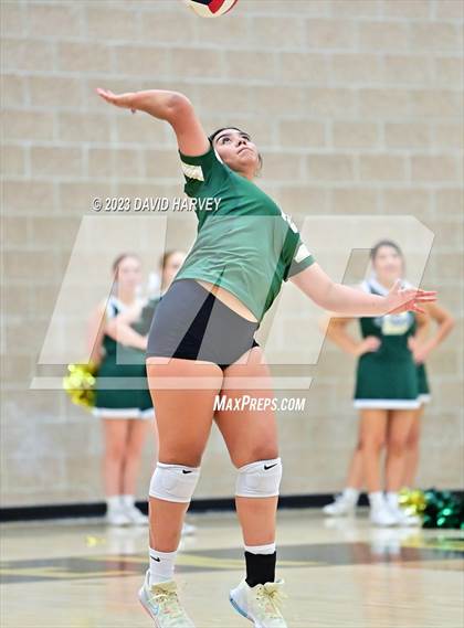 Thumbnail 1 in Ponderosa vs Bear Creek  photogallery.
