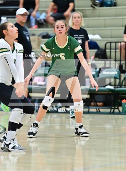 Thumbnail 1 in Ponderosa vs Bear Creek  photogallery.