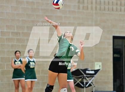 Thumbnail 2 in Ponderosa vs Bear Creek  photogallery.