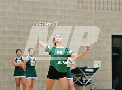 Thumbnail 1 in Ponderosa vs Bear Creek  photogallery.