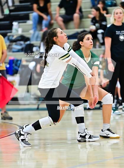 Thumbnail 1 in Ponderosa vs Bear Creek  photogallery.