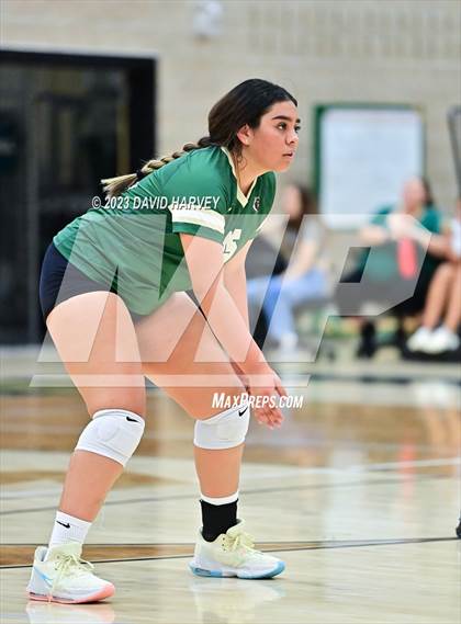 Thumbnail 3 in Ponderosa vs Bear Creek  photogallery.