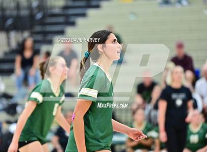 Thumbnail 1 in Ponderosa vs Bear Creek  photogallery.
