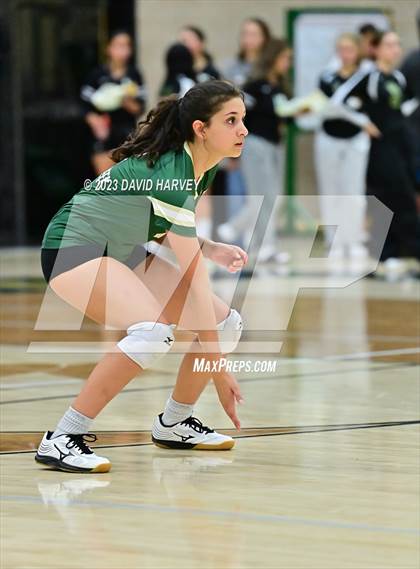 Thumbnail 2 in Ponderosa vs Bear Creek  photogallery.
