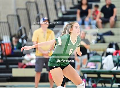 Thumbnail 1 in Ponderosa vs Bear Creek  photogallery.