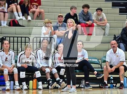 Thumbnail 1 in Ponderosa vs Bear Creek  photogallery.
