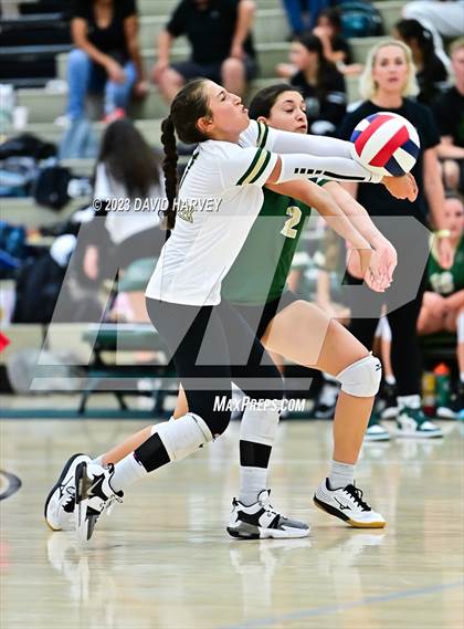 Thumbnail 1 in Ponderosa vs Bear Creek  photogallery.
