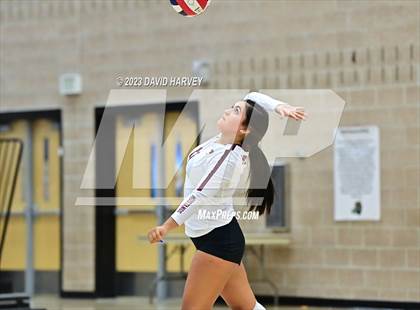 Thumbnail 2 in Ponderosa vs Bear Creek  photogallery.