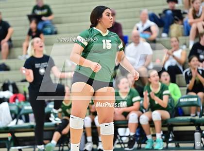 Thumbnail 2 in Ponderosa vs Bear Creek  photogallery.