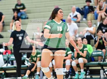 Thumbnail 1 in Ponderosa vs Bear Creek  photogallery.