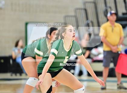 Thumbnail 1 in Ponderosa vs Bear Creek  photogallery.