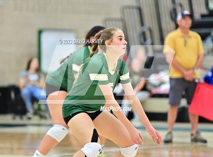Thumbnail 2 in Ponderosa vs Bear Creek  photogallery.