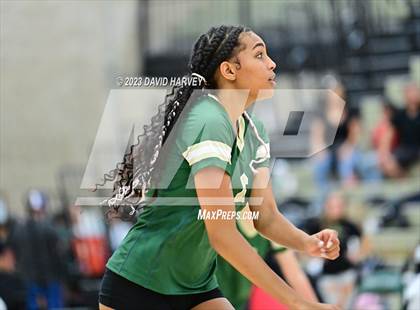Thumbnail 2 in Ponderosa vs Bear Creek  photogallery.