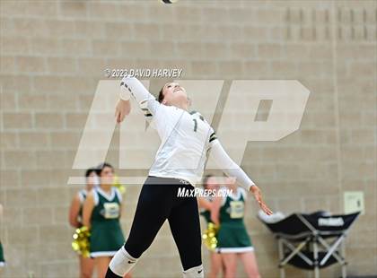 Thumbnail 2 in Ponderosa vs Bear Creek  photogallery.