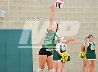 Thumbnail 3 in Ponderosa vs Bear Creek  photogallery.