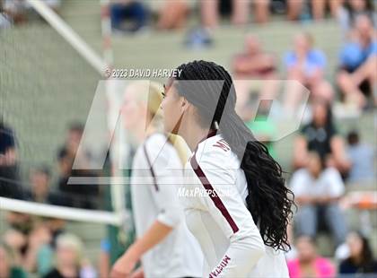 Thumbnail 1 in Ponderosa vs Bear Creek  photogallery.
