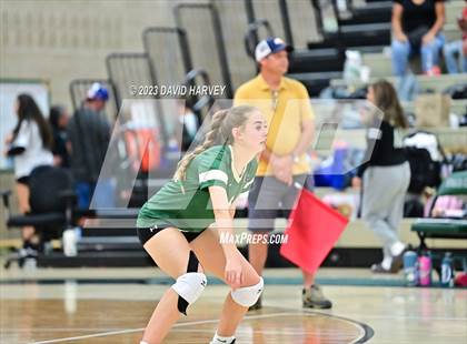 Thumbnail 2 in Ponderosa vs Bear Creek  photogallery.