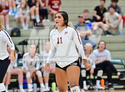 Thumbnail 1 in Ponderosa vs Bear Creek  photogallery.