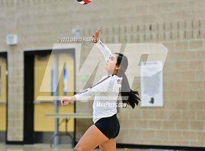 Thumbnail 3 in Ponderosa vs Bear Creek  photogallery.
