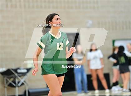 Thumbnail 1 in Ponderosa vs Bear Creek  photogallery.