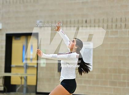 Thumbnail 2 in Ponderosa vs Bear Creek  photogallery.